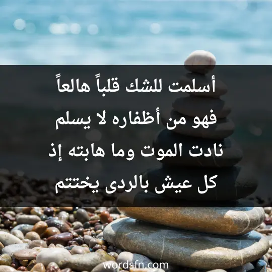 أسلمت للشك قلباً هالعاً فهو من أظفاره لا يسلم نادت الموت وما هابته إذ كل عيش بالردى يختتم