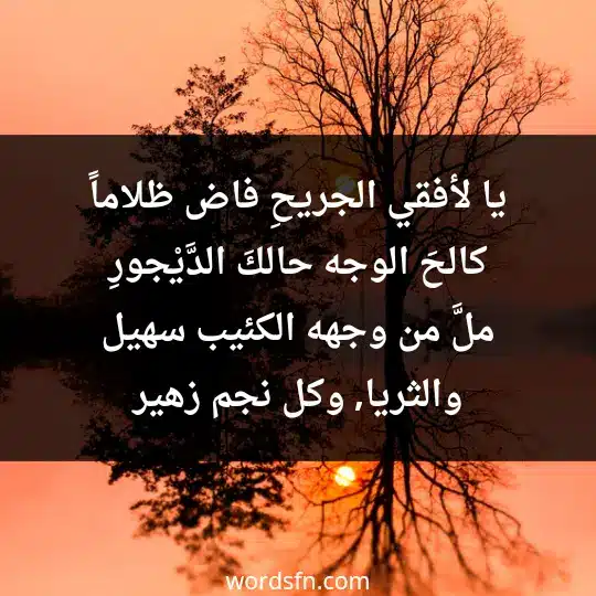 يا لأفقي الجريحِ فاض ظلاماً كالحَ الوجه حالكَ الدَّيْجورِ ملَّ من وجهه الكئيب سهيل والثريا, وكل نجم زهير