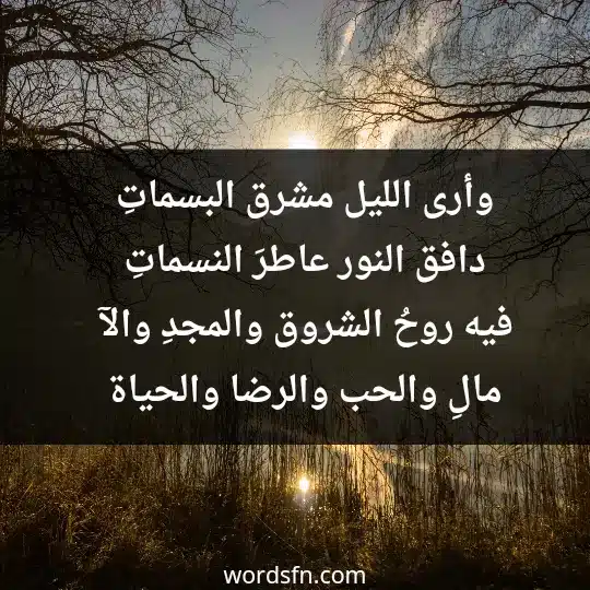 وأرى الليل مشرق البسماتِ دافق النور عاطرَ النسماتِ فيه روحُ الشروق والمجدِ والآ مالِ والحب والرضا والحياة