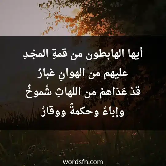 أيها الهابطون من قمةِ المجْـ ـدِ عليهم من الهوانِ غبارُ قدْ عَدَاهمْ من اللهاثِ شُموخٌ وإباءٌ وحكمةٌ ووقارُ