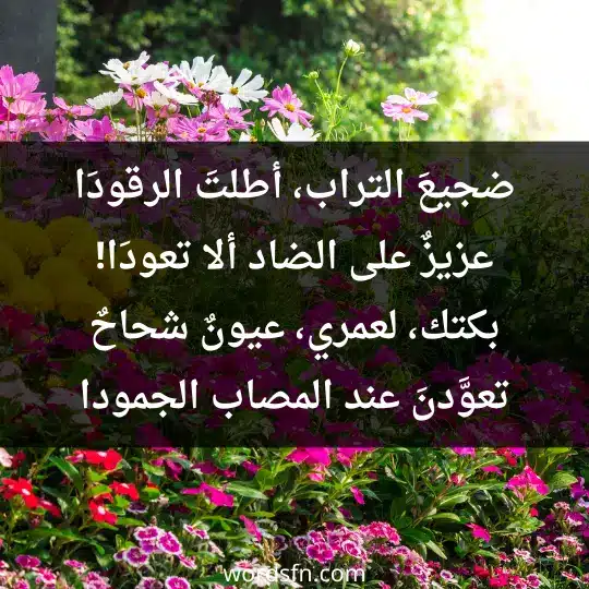 ضجيعَ التراب، أطلتَ الرقودَا عزيزٌ على الضاد ألا تعودَا! بكتك، لعمري، عيونٌ شحاحٌ تعوَّدنَ عند المصاب الجمودا