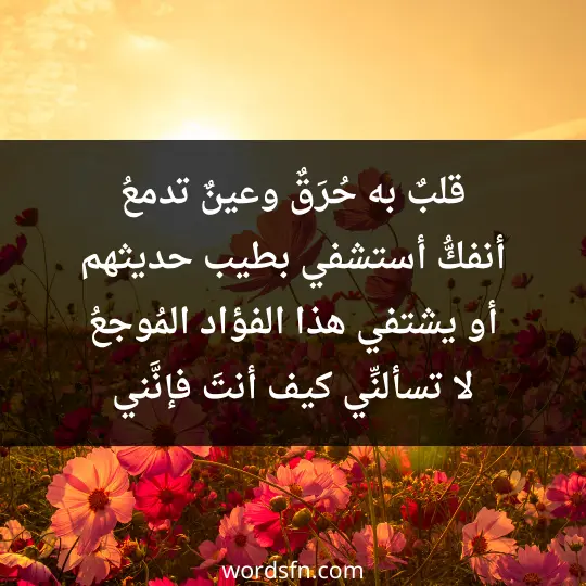 قَلبٌ يَذوبُ ومهجةٌ تَتَقطَّع وجوًى يهيجُ به الفؤاد المولَعُ لي بعد مَن سكن الغضا نار الغضا تطوى على الزفرات منها الأضلع