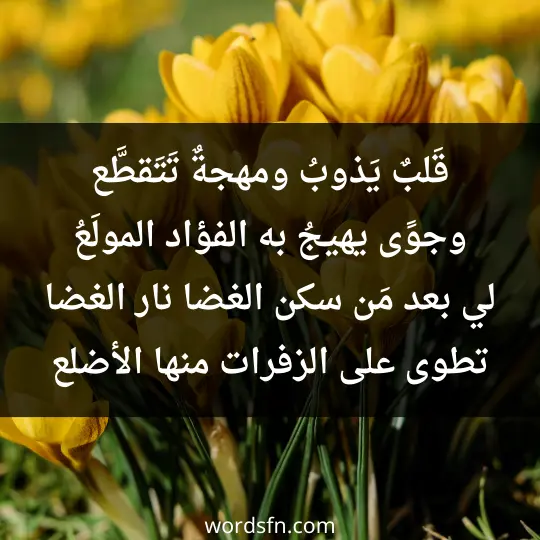 قلبٌ به حُرَقٌ وعينٌ تدمعُ أنفكُّ أستشفي بطيب حديثهم أو يشتفي هذا الفؤاد المُوجعُ لا تسألنِّي كيف أنتَ فإنَّني