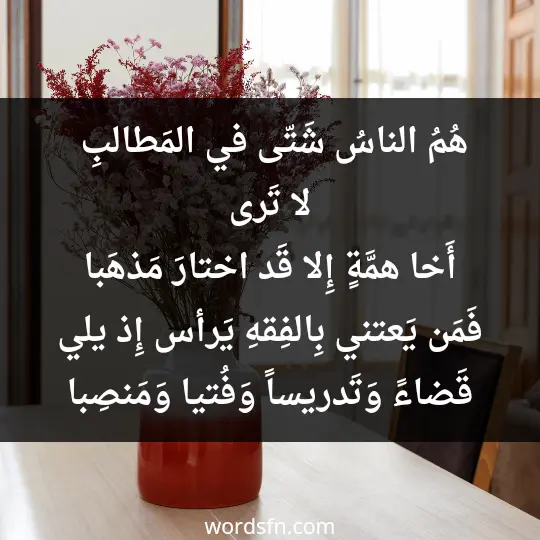 هُمُ الناسُ شَتّى في المَطالبِ لا تَرى أَخا همَّةٍ إِلا قَد اختارَ مَذهَبا فَمَن يَعتني بِالفِقهِ يَرأس إِذ يلي قَضاءً وَتَدريساً وَفُتيا وَمَنصِبا