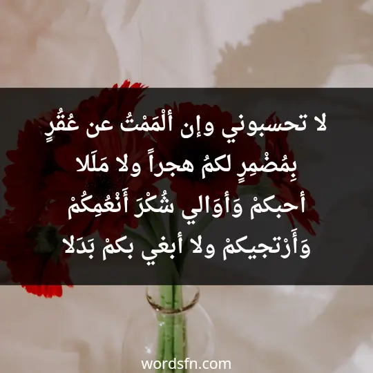 لا تحسبوني وإن ألْمَمْتُ عن عُقُرٍ بِمُضْمِرٍ لكمُ هجراً ولا مَلَلا أحبكمْ وَأوَالي شُكْرَ أَنْعُمِكُمْ وَأَرْتجيكمْ ولا أبغي بكمْ بَدَلا