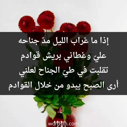 إذا ما غراب الليل مدّ جناحه عليّ وغطاني بريش قوادم تقلبت في طيّ الجناح لعلني أرى الصبح يبدو من خلال القوادم