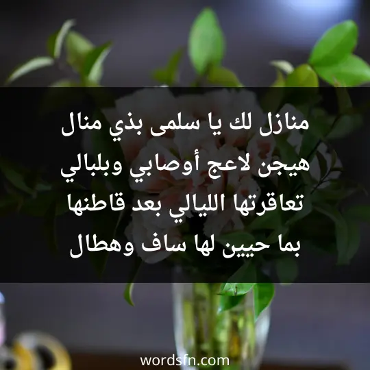 منازل لك يا سلمى بذي منال هيجن لاعج أوصابي وبلبالي تعاقرتها الليالي بعد قاطنها بما حيين لها ساف وهطال