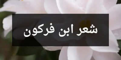 شعر ابن فركون