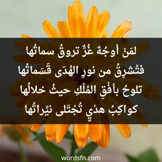 لمَنْ أوجُهٌ غُرٌّ تروقُ سماتُها فتُشرِقُ من نورِ الهُدَى قَسَماتُها تلوحُ بأفْقِ المُلْكِ حيثُ خلالُها كواكِبُ هدْيٍ تُجْتَلى نيِّراتُها