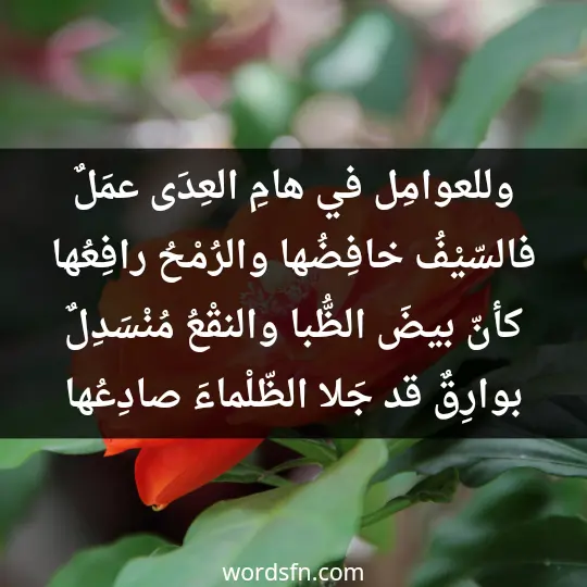 وللعوامِل في هامِ العِدَى عمَلٌ فالسّيْفُ خافِضُها والرُمْحُ رافِعُها كأنّ بيضَ الظُّبا والنقْعُ مُنْسَدِلٌ بوارِقٌ قد جَلا الظّلْماءَ صادِعُها
