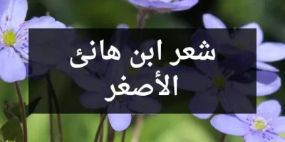 شعر ابن هانئ الأصغر