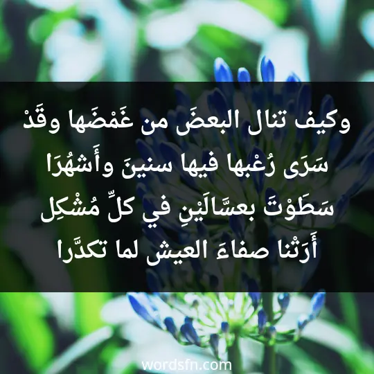 وكيف تنال البعضَ من غَمْضَها وقَدْ سَرَى رُعْبها فيها سنينَ وأَشهُرَا سَطَوْتَ بعسَّالَيْنِ في كلِّ مُشْكِل أَرَتْنا صفاءَ العيش لما تكدَّرا