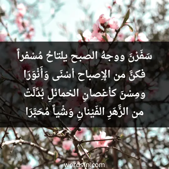 سَفَرْنَ ووجهُ الصبح يلتاحُ مُسْفراً فكنَّ من الإِصباح أسْنَى وَأَنْوَرَا ومِسْنَ كأغصانِ الخمائلِ بُدِّلَتْ من الزَّهَرِ الفَيْنانِ وَشْياً مُحَبَّرَا