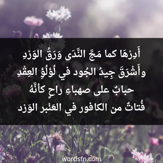 أَدِرْهَا كما مَجَّ النَّدَى وَرَقُ الوَرْدِ وأَشْرَقَ جِيدُ الجُود في لُؤلُؤِ العِقْدِ حبابٌ على صهباءِ راحٍ كأنَّهُ فُتاتٌ من الكافور في العَنْبر الوَرْد