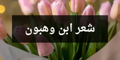 شعر ابن وهبون