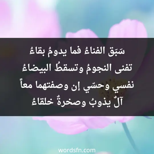 سَبَق الفناءُ فما يدومُ بقاءُ تفنى النجومُ وتسقطُ البيضاءُ نفسي وحسّي إن وصفتهما معاً آلٌ يذوبُ وصخرةٌ خلقاءُ