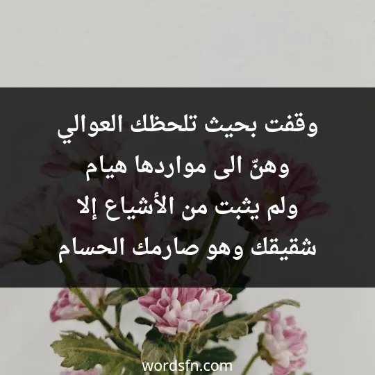 وقفت بحيث تلحظك العوالي وهنّ الى مواردها هيام ولم يثبت من الأشياع إلا شقيقك وهو صارمك الحسام