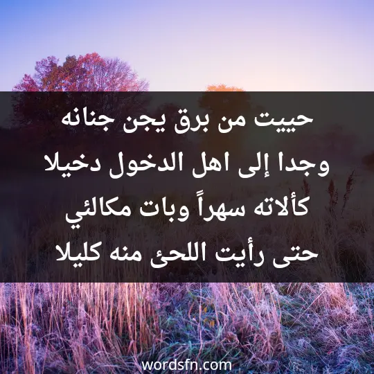 حييت من برق يجن جنانه وجدا إلى اهل الدخول دخيلا كألاته سهراً وبات مكالئي حتى رأيت اللحئ منه كليلا