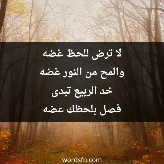 لا ترض للحظ غضه والمح من النور غضه خد الربيع تبدى فصل بلحظك عضه