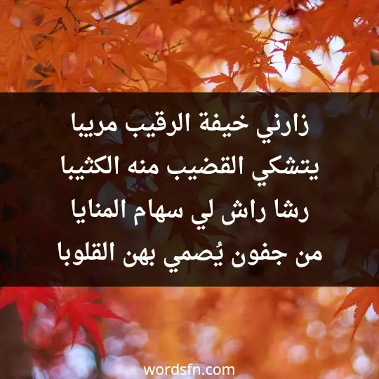 زارني خيفة الرقيب مريبا يتشكي القضيب منه الكثيبا رشا راش لي سهام المنايا من جفون يُصمي بهن القلوبا