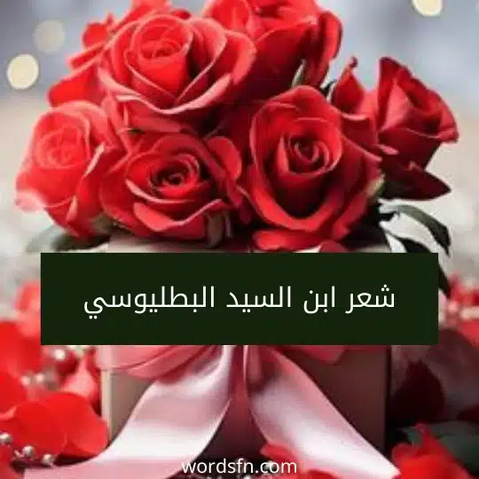 شعر ابن السيد البطليوسي
