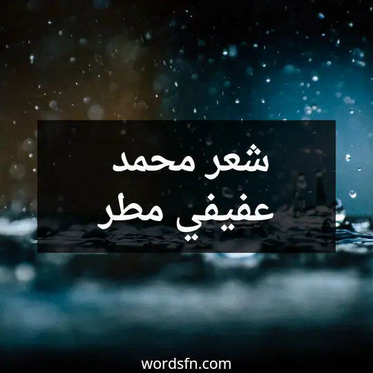 شعر محمد عفيفي مطر