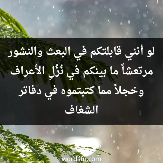 لو أنني قابلتكم في البعث والنشور مرتعشاً ما بينكم في نُزُلِ الأعراف وخجلاً مما كتبتموه في دفاتر الشغاف
