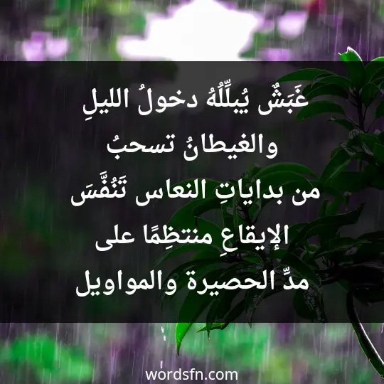 غَبَشٌ يُبلِّلُهُ دخولُ الليلِ، والغيطانُ تسحبُ من بداياتِ النعاس تَنُفَّسَ الإيقاعِ منتظِمًا على مدِّ الحصيرة والمواويل