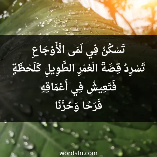 تَسْكُنُ فِي لَمَى الْأَوْجَاعِ تَسْرِدُ قِصَّةٙ الْعُمْرِ الطَّوِيلِ كَلَحْظَةٍ؛ فَتَعِيشُ فِي أَعْمَاقِهِ فَرَحًا وَحُزْنَا