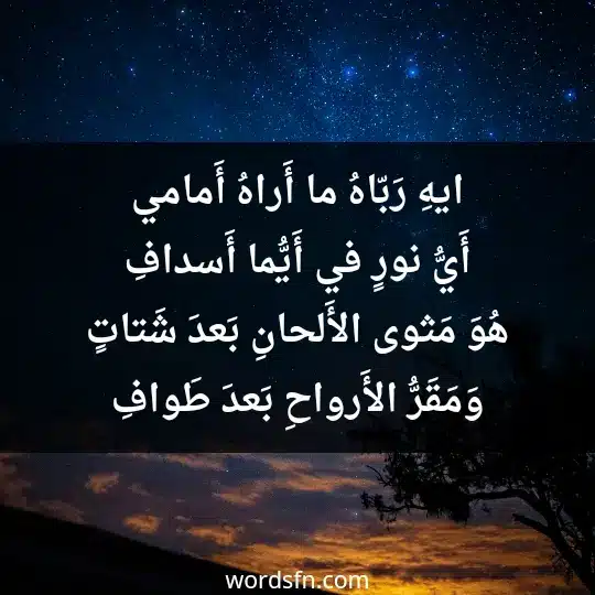 Poetry of Muhammad Al-Hashmari2 - فن العبارات ايهِ رَبّاهُ ما أَراهُ أَمامي أَيُّ نورٍ في أَيُّما أَسدافِ هُوَ مَثوى الأَلحانِ بَعدَ شَتاتٍ وَمَقَرُّ الأَرواحِ بَعدَ طَوافِ