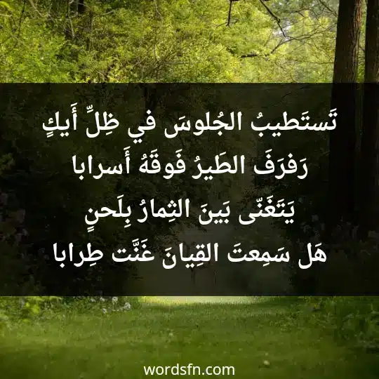 Poetry of Muhammad Al-Hashmari3 - فن العبارات تَستَطيبُ الجُلوسَ في ظِلِّ أَيكٍ رَفرَفَ الطَيرُ فَوقَهُ أَسرابا يَتَغَنّى بَينَ الثِمارُ بِلَحنٍ هَل سَمِعتَ القِيانَ غَنَّت طِرابا