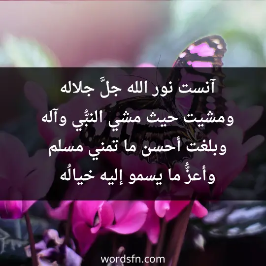 آنست نور الله جلَّ جلاله ومشيت حيث مشي النبُّي وآله وبلغت أحسن ما تمني مسلم وأعزُّ ما يسمو إليه خيالُه