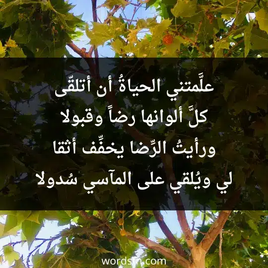 علَّمتني الحياةُ أن أتلقّى كلَّ ألوانها رضاً وقبولا ورأيتُ الرِّضا يخفِّف أثقا لي ويُلقي على المآسي سُدولا