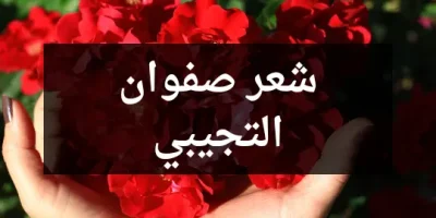 شعر صفوان التجيبي