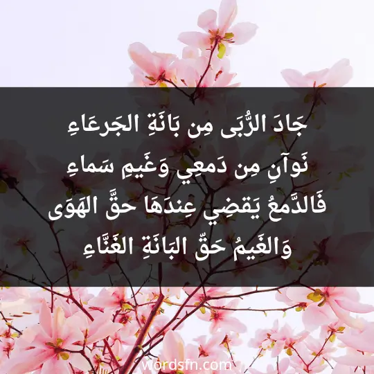 جَادَ الرُّبَى مِن بَانَةِ الجَرعَاءِ نَوآنِ مِن دَمعِي وَغَيمِ سَماءِ فَالدَّمعُ يَقضِي عِندَهَا حقَّ الهَوَى وَالغَيمُ حَقّ البَانَةِ الغَنَّاءِ