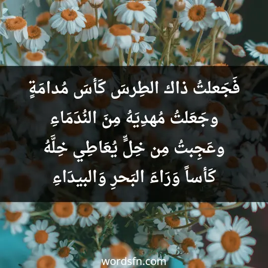 فَجَعلتُ ذاك الطِرسَ كَأسَ مُدامَةٍ وجَعَلتُ مُهدِيَهُ مِنَ النُدَمَاءِ وعَجِبتُ مِن خِلٍّ يُعَاطِي خِلَّهُ كَأساً وَرَاءَ البَحرِ وَالبيدَاءِ