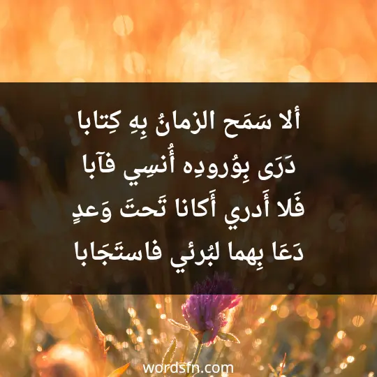 ألا سَمَح الزمانُ بِهِ كِتابا دَرَى بِوُرودِه أُنسِي فآبا فَلا أَدري أَكانا تَحتَ وَعدٍ دَعَا بِهما لبُرئي فاستَجَابا