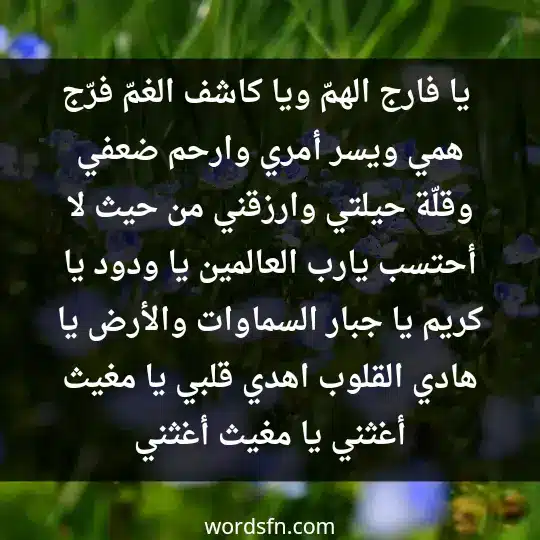  يا فارج الهمّ، ويا كاشف الغمّ، فرّج همي ويسر أمري، وارحم ضعفي، وقلّة حيلتي، وارزقني من حيث لا أحتسب يارب العالمين، يا ودود يا كريم، يا جبار السماوات والأرض، يا هادي القلوب اهدي قلبي، يا مغيث أغثني، يا مغيث أغثني، يا مغيث أغثني.