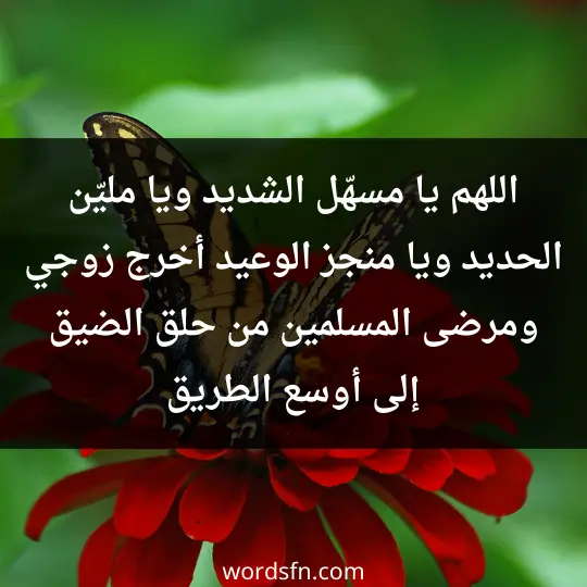 اللهم يا مسهّل الشديد، ويا مليّن الحديد، ويا منجز الوعيد، أخرج زوجي ومرضى المسلمين من حلق الضيق إلى أوسع الطريق