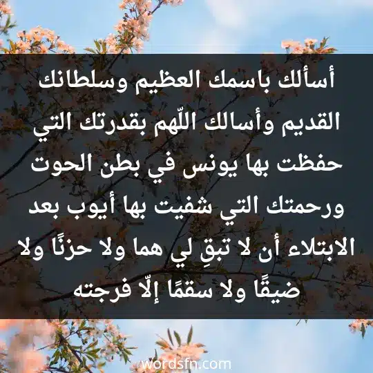 Prayer for relief ٢ - فن العبارات أسألك باسمك العظيم وسلطانك القديم، وأسالك اللّهم بقدرتك التي حفظت بها يونس في بطن الحوت، ورحمتك التي شفيت بها أيوب بعد الابتلاء أن لا تبقِ لي هما ولا حزنًا ولا ضيقًا ولا سقمًا إلّا فرجته