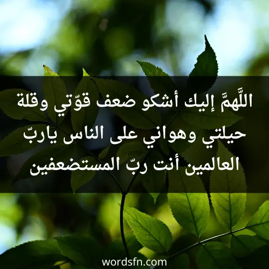 اللَّهمَّ إليك أشكو ضعف قوّتي، وقلة حيلتي، وهواني على الناس، يا ربّ العالمين، أنت ربّ المستضعفين