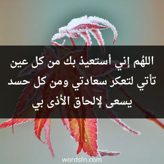 اللهُم إني أستعيذ بك من كل عين تأتي لتعكر سعادتي، ومن كل حسد يسعى لإلحاق الأذى بي