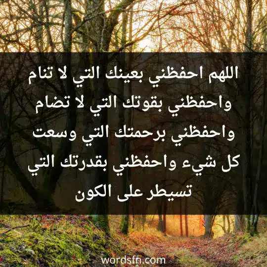 اللهم احفظني بعينك التي لا تنام، واحفظني بقوتك التي لا تضام، واحفظني برحمتك التي وسعت كل شيء، واحفظني بقدرتك التي تسيطر على الكون