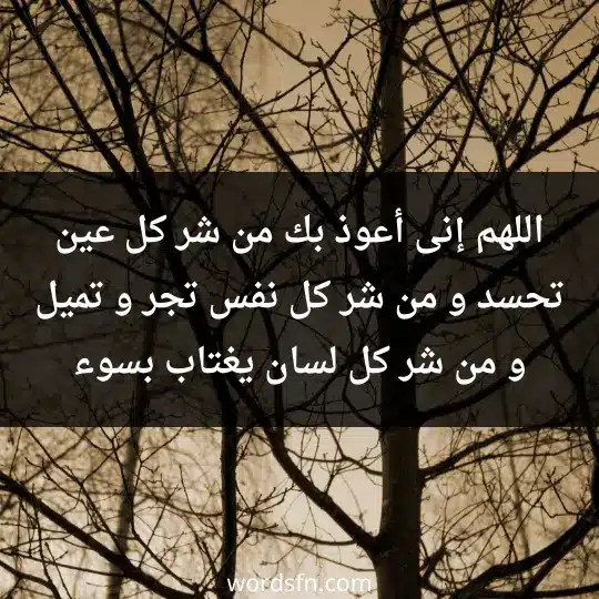 اللهم إنى أعوذ بك من شر كل عين تحسد و من شر كل نفس تجر و تميل و من شر كل لسان يغتاب بسوء