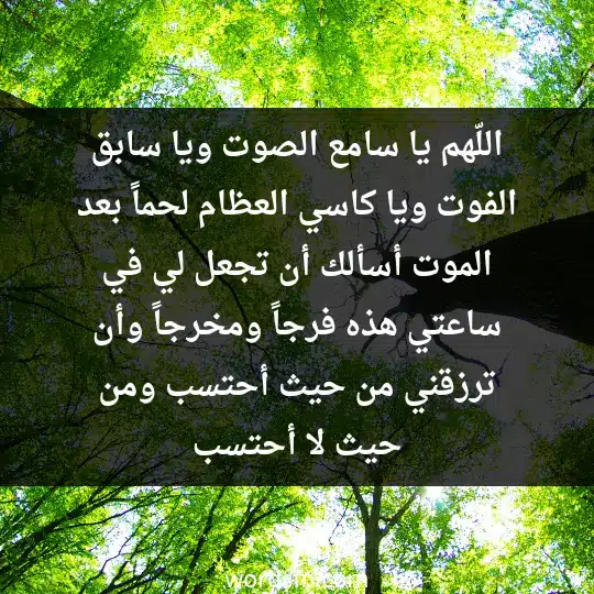 Prayers for relief and facilitating matters2 - فن العبارات اللّهم يا سامع الصوت ويا سابق الفوت ويا كاسي العظام لحماً بعد الموت. أسألك أن تجعل لي في ساعتي هذه فرجاً ومخرجاً، وأن ترزقني من حيث أحتسب ومن حيث لا أحتسب