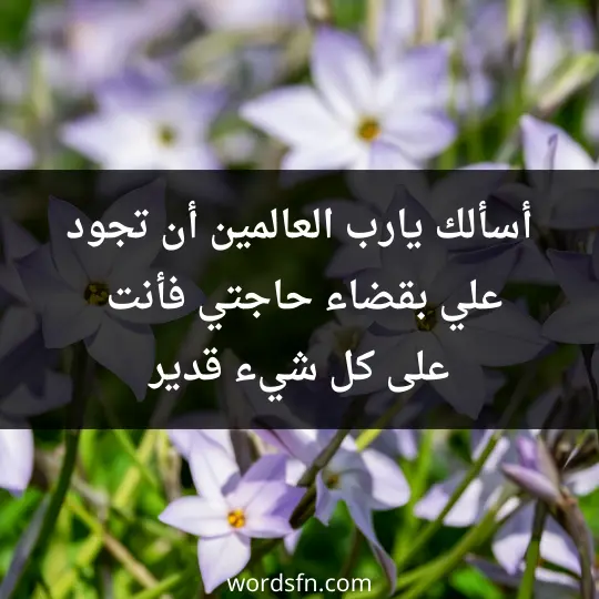 أسألك يارب العالمين أن تجود علي بقضاء حاجتي، فأنت على كل شيء قدير