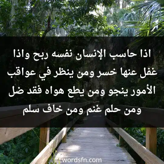 اذا حاسب الإنسان نفسه ربح. و اذا غفل عنها خسر ومن ينظر في عواقب الأمور ينجو. و من يطع هواه فقد ضل و من حلم غنم و من خاف سلم