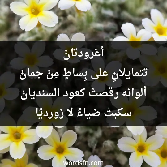 أغرودتانْ تتمايلانِ على بِساطٍ مِنْ جمانْ ألوانه رقصتْ كعود السنديانْ سكبتْ ضياءً لا زورديًا