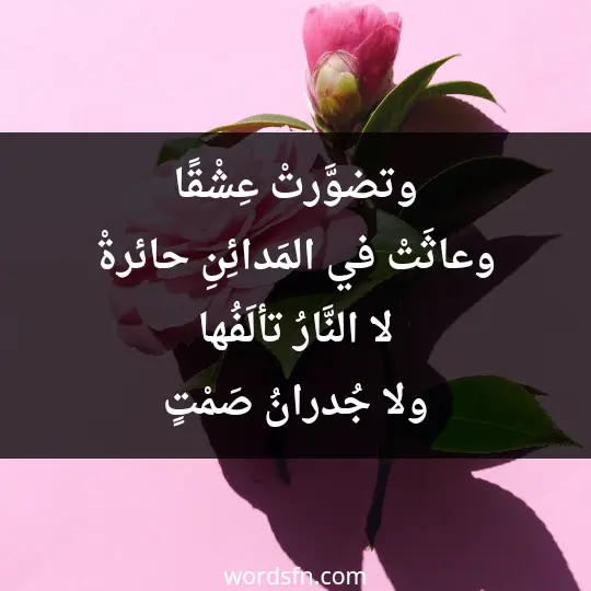 وتضوَّرتْ عِشْقًا وعاثَتْ في المَدائِنِ حائرةْ لا النَّارُ تألَفُها ولا جُدرانُ صَمْتٍ