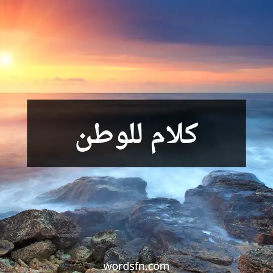 كلام للوطن